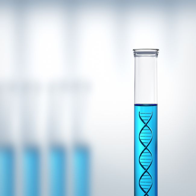 Nieuwe eiwitten geïdentificeerd die betrokken zijn bij reparatie DNA 